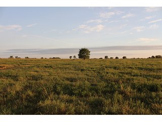 Tract 5 - LAND AUCTION - 440+/- Acres offered in 15 Tracts in Tulsa County